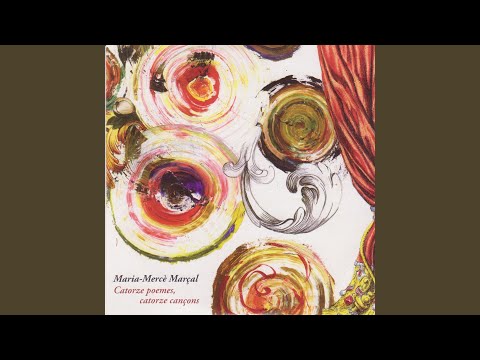 A Contra-llum a Contra-llei