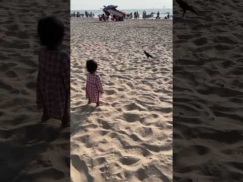 Maisha playing with crow on beach #cutebaby #ytshorts #shortsvideo #trending