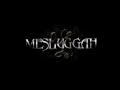 Messuggah - Imprint of the Unsaved