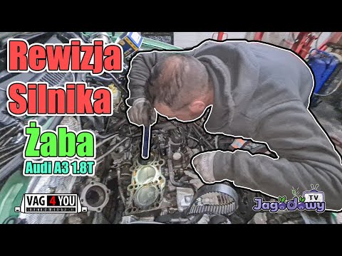 Vag4You - rewizja silnika || Audi A3 1.8T Żaba