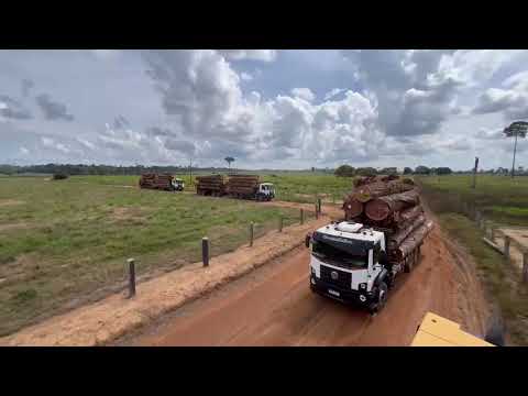 CUJUBIM Rondônia plano de manejo sustentável ￼