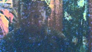 killarney boy of pleasure