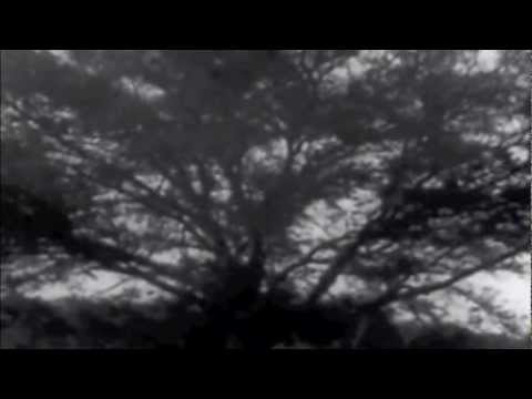 Gren Bartley - Wayward Stars/Kelefaba