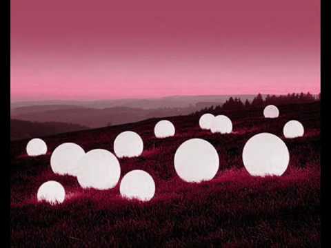 Alter Breed  - Back in black