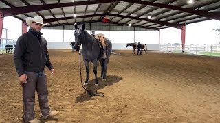 Teaching a horse to Ground Tie