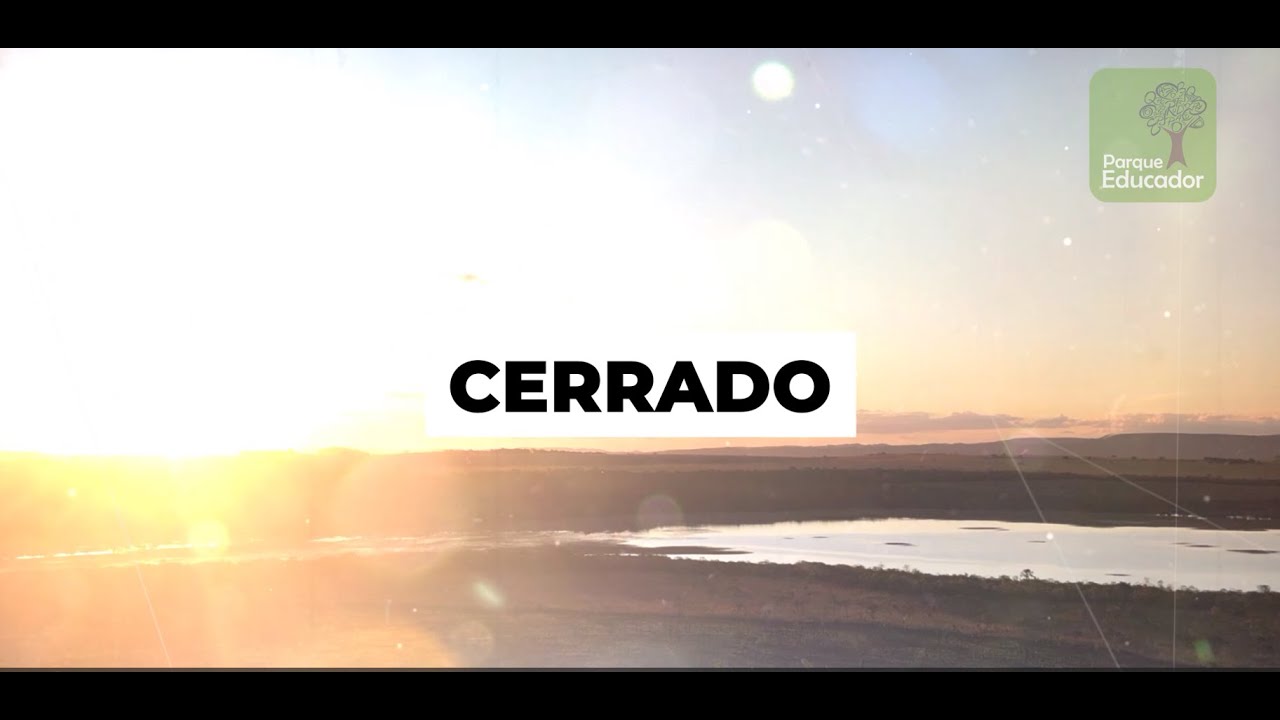 Parque Educador Digital - Cerrado