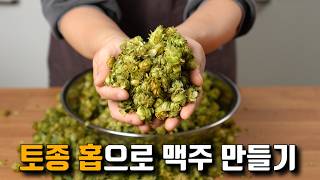 사라진 줄 알았던 '토종 홉', 맥주를 만들면 무슨 맛일까?