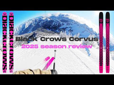 Black Crows Corvus 2025 long term ski review