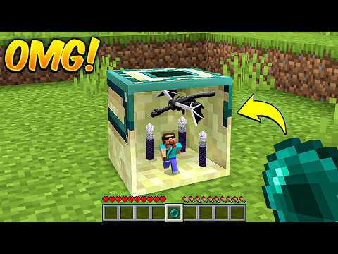 Minecraft But I Can Go Inside Blocks!