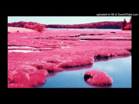 Ducko McFli - Private Dancer (Ft. PnB Rock)