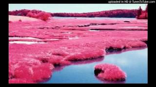 Ducko McFli - Private Dancer (Ft. PnB Rock)