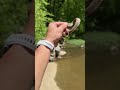 Did you get all of them correct? #snakes #wildlife #animals