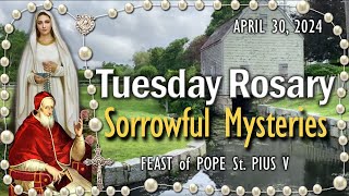 🌹Tuesday Rosary🌹FEAST of POPE St. PIUS V, Sorrowful Mysteries, APRIL 30, 2024, Scenic, Scriptural