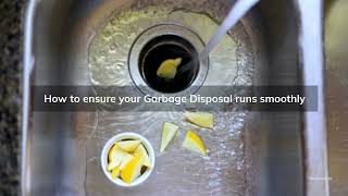 Garbage Disposal Plumbing Service in Stuart, FL