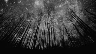 And Also The Trees - Under The Stars