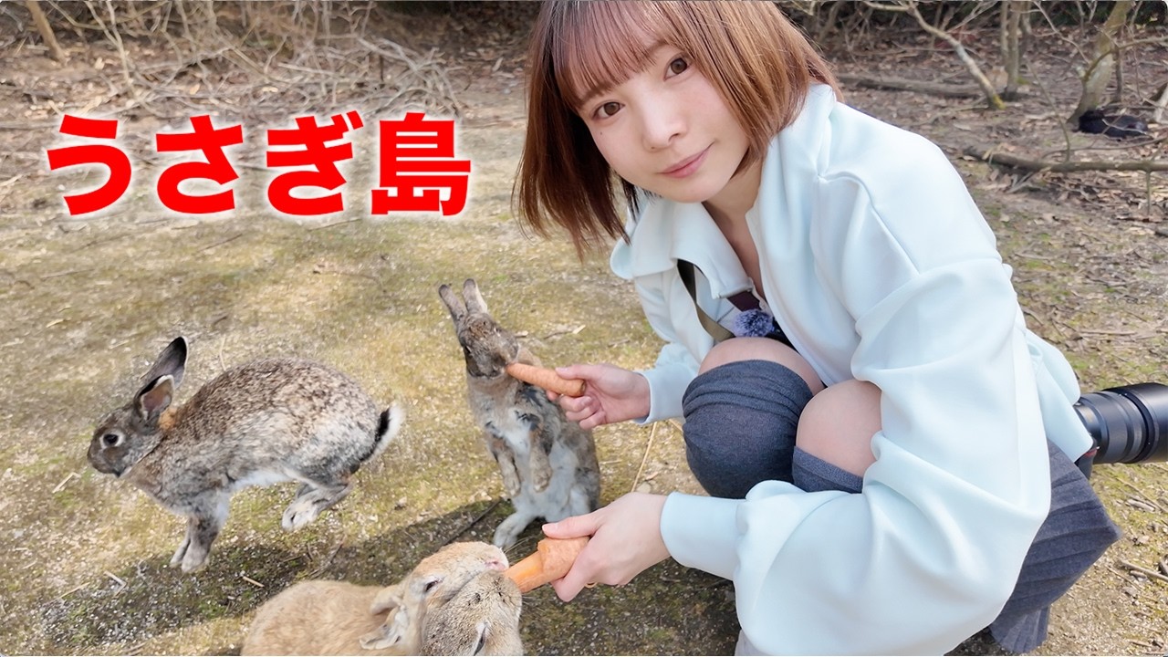 【女ひとり旅】うさぎの楽園？900羽を超えるうさぎが暮らす島に行ってみた【広島県・大久野島】