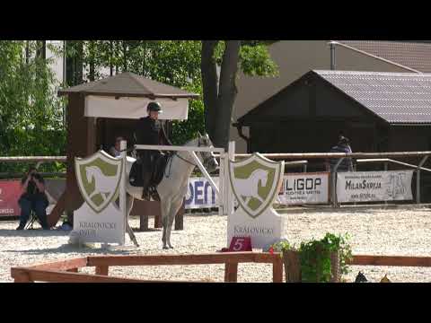 Test ovladatelnosti soutěž č. 10 Masters WAWE – Czech Summer Open Královice – 14. 6. 2025