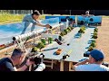 Fast And Furious Final Race Supra VS Charger Behind The Scene With Miniatures