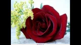 Modern Talking  Blinded by your love