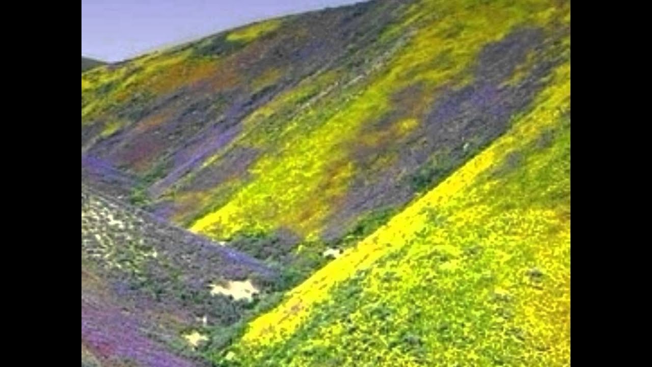 Pyar Kya Hota Hai Lyrics | Aashique Mastane | Udit Narayan, Kavita Krishnamurthy | Dilip Sen Sameer Sen