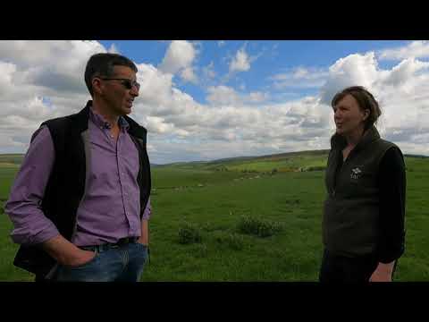 Cluny Farm: The Sheep System & Increased Lamb Survival