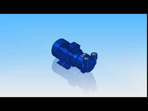 EVM Single Stage Liquid Ring Vacuum Pumps with Motor