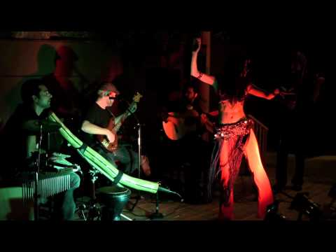 Maharajah Flamenco Trio - Darya