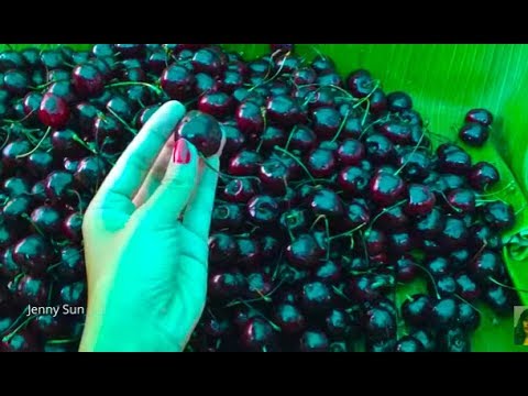 Asian Street Food - Morning Market Food In Phnom Penh - Food Compilation In The Market