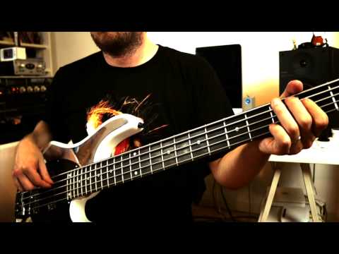 Mr. Big - To Be With You (bass cover)