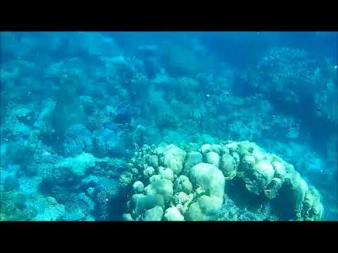 3 HOURS of Relaxing ASMR Tingling Crackling Bubbling Snorkeling Sounds from Cambodia