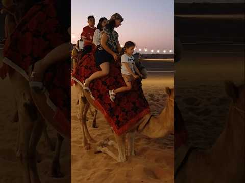 kid camel ride video dubai desert safari #short #shortvideo #arabicmusic #sahardesert #quads #dubai