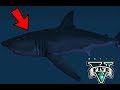 GTA 5 PC Jugando Como Tiburon En El Juego Maneater Mod GTA5Shark GTA5Mods GTA5