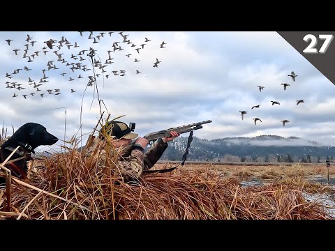 COVERED UP In Mountain MALLARDS (Limited Out) | Solo Kayak Duck Hunting