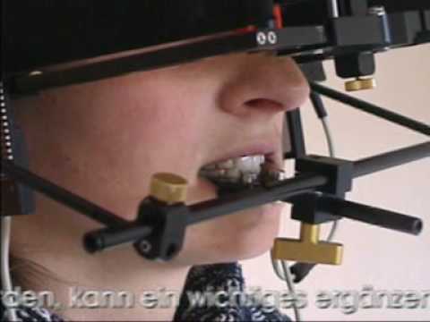 Das Kniegelenk Schloss Preis Wie man richtig die Gelatine aus den Fugen pflanzen