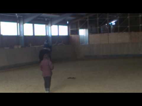 Lena reitet in Donaurieden