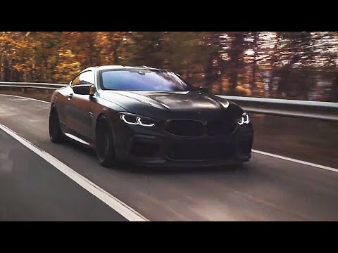 DIPIENS, Leav3l8ke - Ass (Car Video)