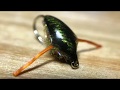 Flyguys Favourite Fall Fly Patterns - Flashy Little Boatman