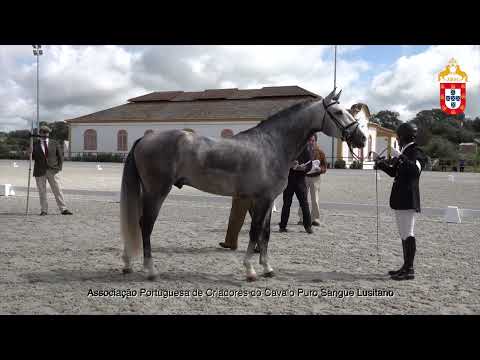 220424 3 Nobre - Aprovação de Garanhões