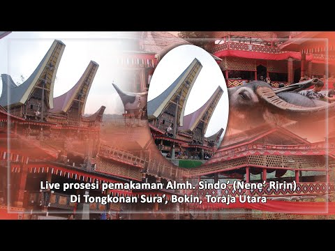 Live Funeral Procession of the Late Sindo' (Nene' Ririn) at Tongkonan Sura', Polo Buntu, Bokin, R...
