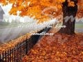 We All Fall In Love Sometimes - Elton John 