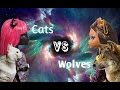 Stop motion Monster High. Cats VS Wolves./ Стоп моушен ...
