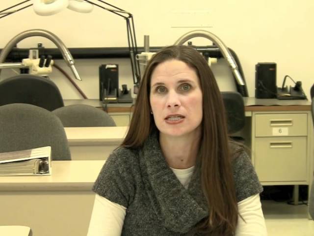 This video outlines the IPC-A-620 certification and training program and wires and terminals. It describes the program, the materials and provides a good general overview of the class outline.