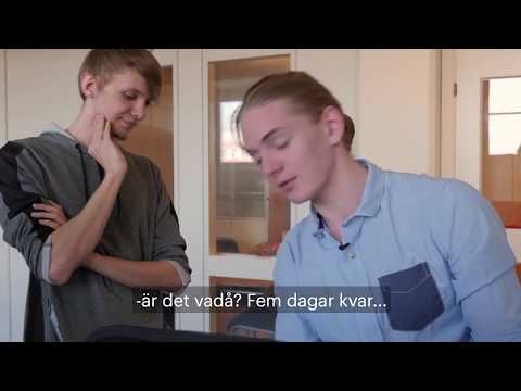 Fryshusets Gymnasium: Naturvetenskapsprogrammet - Programmering