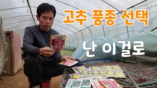 22년 고추 품종 선택 어떤게 좋을까?
