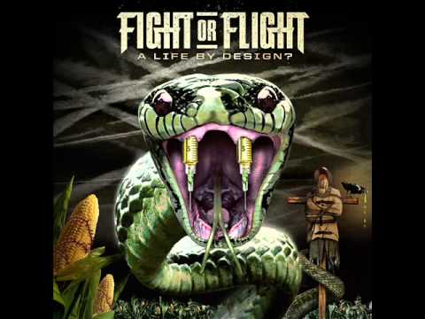 Fight or Flight -  A Void