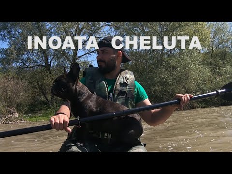 Incident de pe caiac, era sa imi pierd catelul.