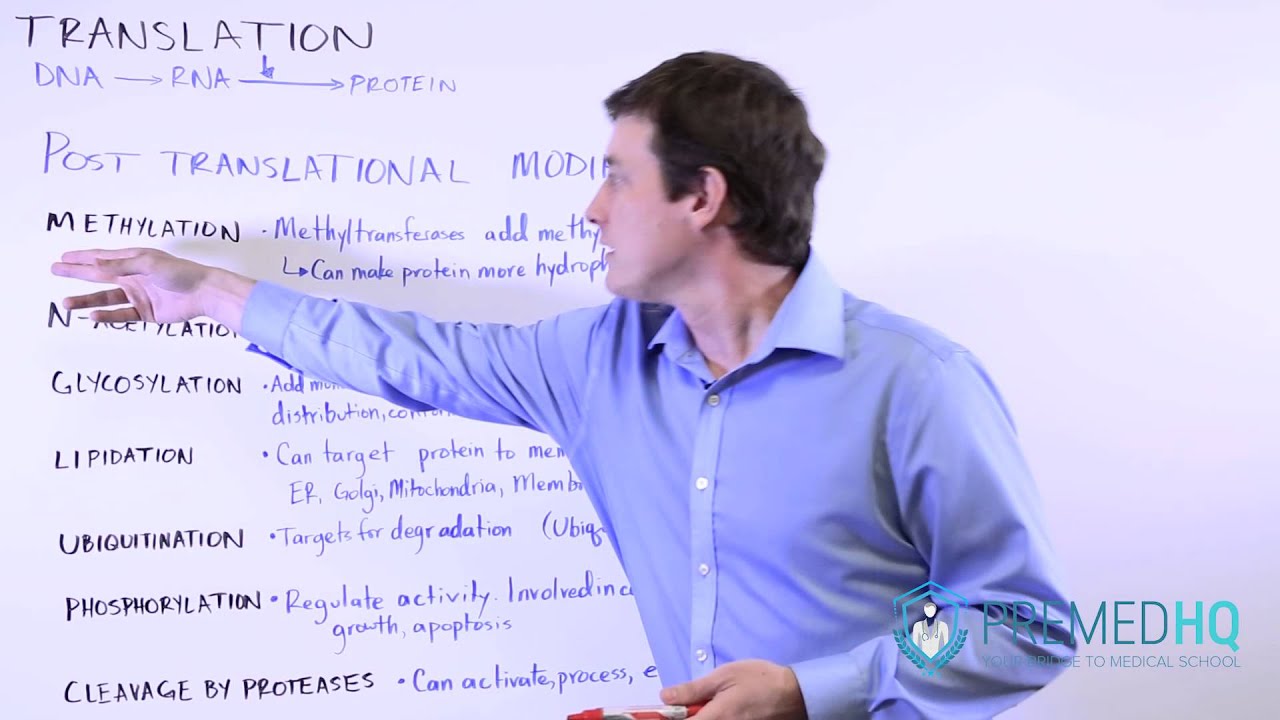 Post-Translational Modification of Proteins