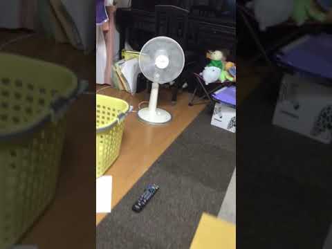 台風21号 ガラスが割れた瞬間 恐怖