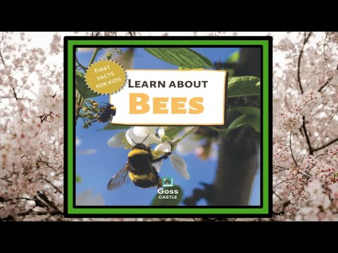 🐝 Learn About Bees First Facts for Kids Read Aloud Children's Book