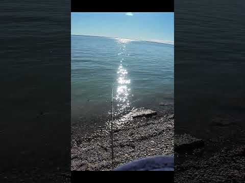 Inicio de temporada 26/27. 🎣 Parte 2